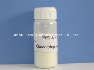 Quizalofop-P- Ethyl95% TC, 98% TC, Pestisida Agrokimia Kedelai / Kapas Untuk Gulma Tahunan Berumput, bubuk Putih
