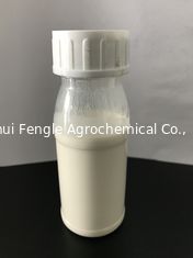 Nicosulfuron 80g / L OD, cairan putih susu, Pembunuh Rumput Broadleaf Untuk Jagung
