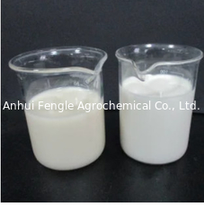 Toksisitas Rendah Insektisida Chlorpyrifos 30% CS CAS: 2921-88-2