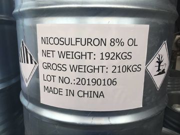 Nicosulfuron 80g / L OD, cairan putih susu, Pembunuh Rumput Broadleaf Untuk Jagung