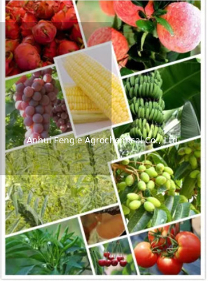 25057-89-0 Pestisida Agrokimia Herbisida Bentazon 95%TC