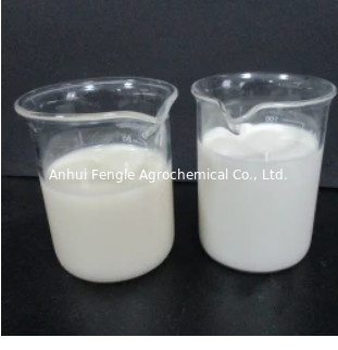 Toksisitas Rendah Insektisida Chlorpyrifos 30% CS CAS: 2921-88-2