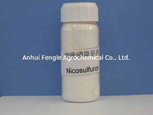 Herbisida Nicosulfuron 97% TC CAS No 111991-0904