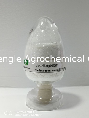 Pestisida Agrokimia Tribenuron-Methyl White power 97% TC