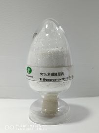 Tribenuron-methyl95% TC, Herbisida Pertanian, Gulma Berdaun Lebar setelah Kontrol Kedaruratan